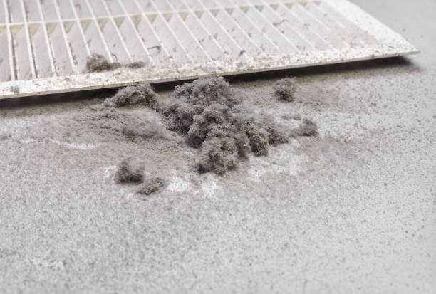 Best Dryer Vent Cleaning Services  in Toro Nyon, CA