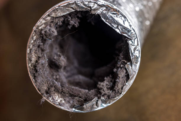 Best HVAC System Cleaning  in Toro Nyon, CA