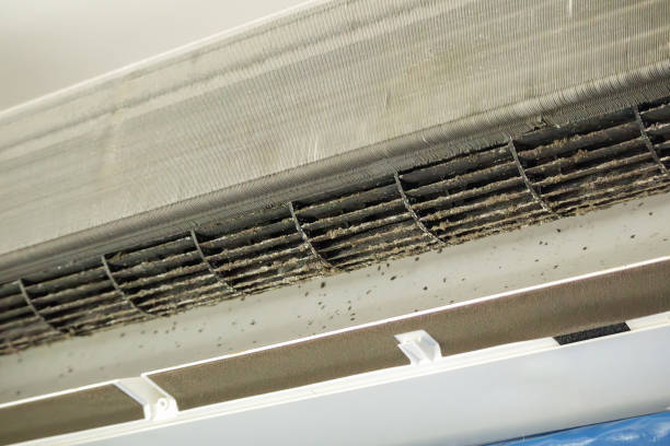 Best Commercial Air Duct Cleaning  in Toro Nyon, CA